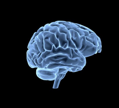 Cerveau : maux de t&ecirc;te et troubles psychiques