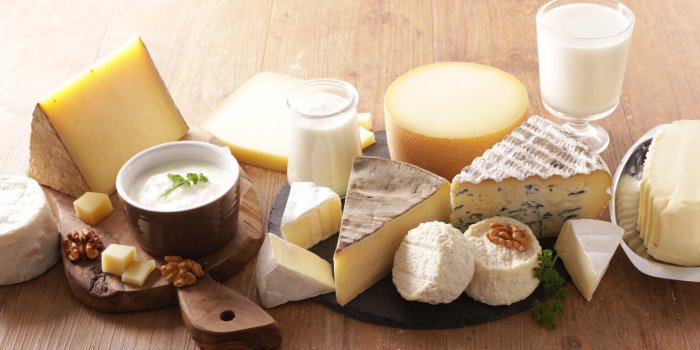 dairy product- cheese, milk, yogurt, butter selection
