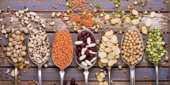 DÃ©mence, mort prÃ©coce : 10 aliments riches en vitamine B9 pour rÃ©duire les risques