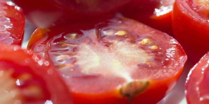 Un pÃ©pin de tomate