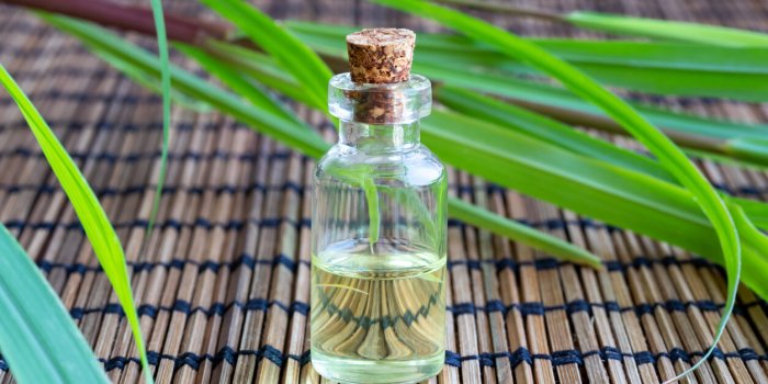 a bottle of lemon grass essential oil with fresh lemon grass on a table