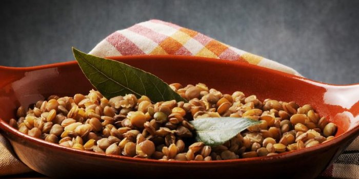 Certaines lÃ©gumineuses peuvent dÃ©clencher des allergies au soja et Ã  l'arachide
