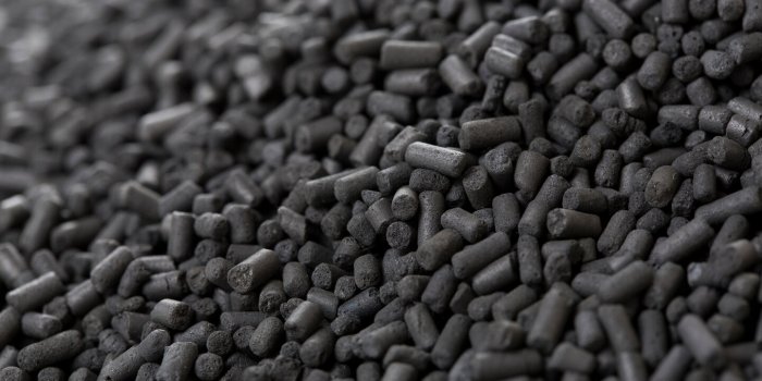 Le charbon vÃ©gÃ©tal, un alliÃ© pour digÃ©rer et dÃ©toxifier son organisme