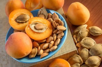 Abricot : manger les amandes expose a des risques d’intoxication au cyanure