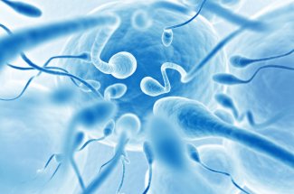 Ce medecin a utilise son propre sperme pour realiser 49 inseminations artificielles