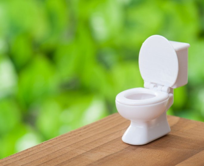 Toilettes : ce geste qui peut rendre malade lorsque l-on tire la chasse d-eau