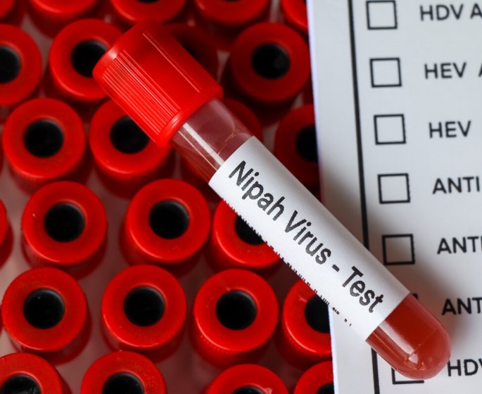 Nipah : qu’est-ce que ce virus qui sevit en Inde ?