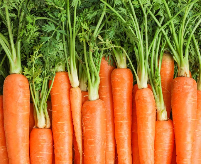 VIDEO : Les carottes rendent-elles vraiment aimables ? 