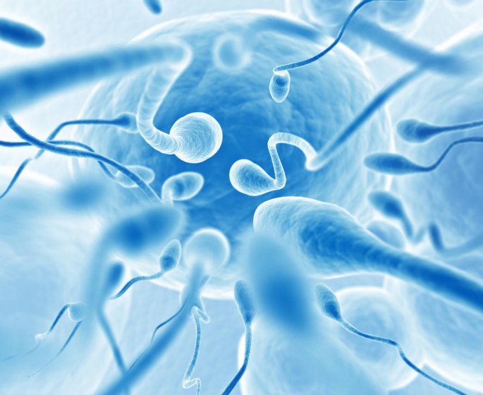 Infertilite masculine : quand faire un spermogramme ?