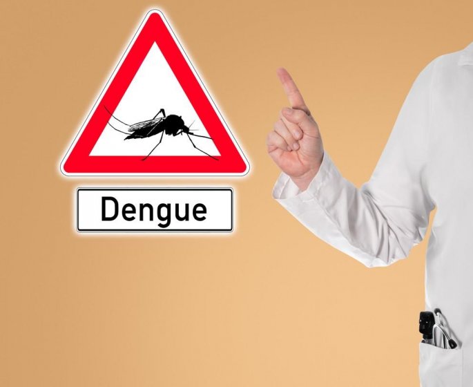 Dengue : les pays les plus a risque