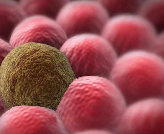 Une proteine pourrait detruire 9 cancers sur 10