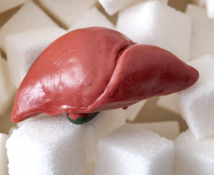 Steathose hepatique : reduire le sucre pendant 8 semaines aide le foie