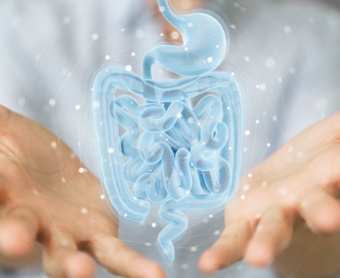 Intestins : ce colorant alimentaire pourrait declencher plusieurs maladies inflammatoires