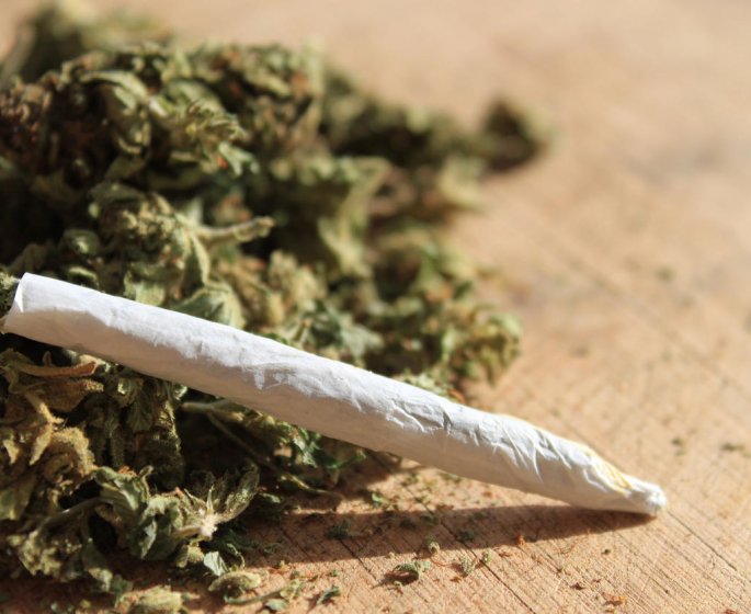 Addiction au cannabis : comment savoir si on est dependant