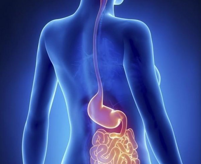 Oesophagite : une maladie digestive