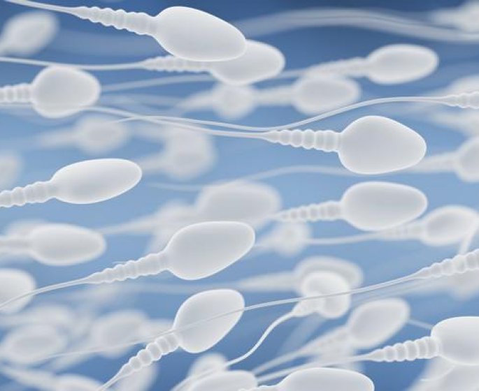 Sperme : des bacteries qui nuisent a la fertilite ? 