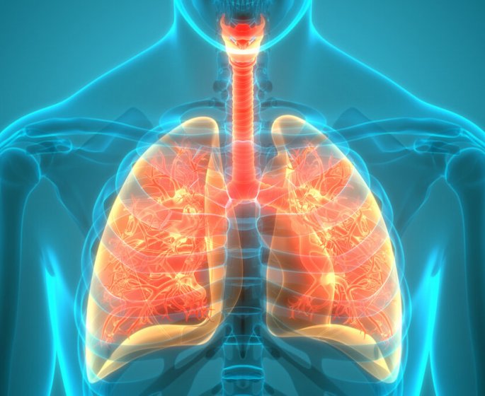 7 astuces pour prendre soin de ses poumons au quotidien