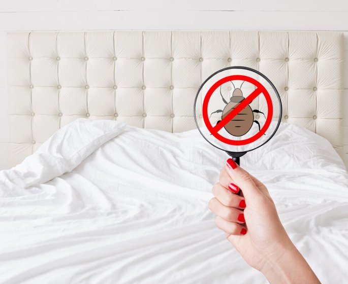 5 signes que votre chambre d’hotel est infestee par les punaises de lit