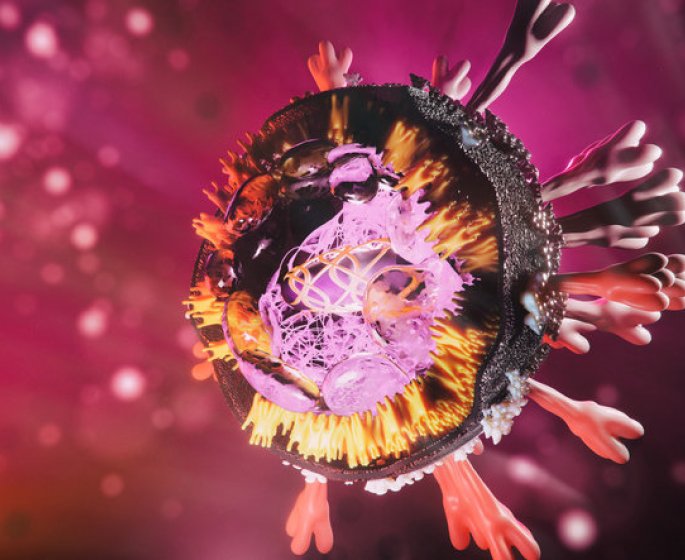 Coronavirus : contagion, gravite… Que sait-on du nouveau variant XE ? 