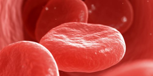 Cancer du sang : difference entre leucemie myeloide ou lymphoide
