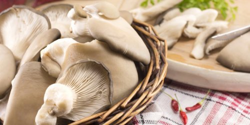 Cancer : une consommation quotidienne de champignons diminue le risque de 45 %