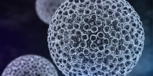 Papillomavirus : un facteur de cancer aussi chez l-homme ?