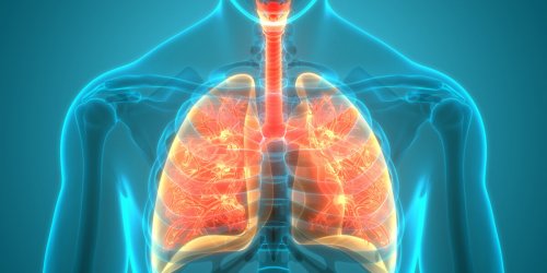 7 astuces pour prendre soin de ses poumons au quotidien