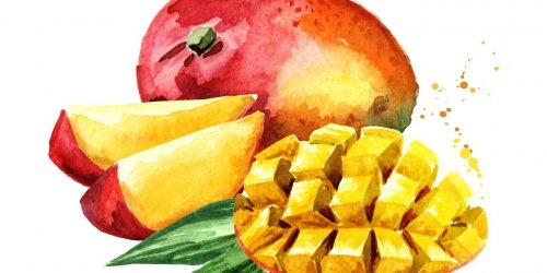 10 fruits qu-il vaut mieux eviter le matin 