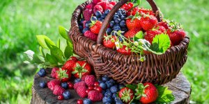 Fruits rouges : des antioxydants naturels