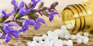 Les remedes homeopathiques anti stress