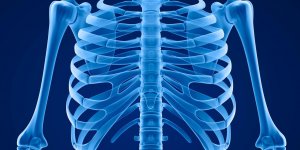 Osteoporose : la luminotherapie comme traitement