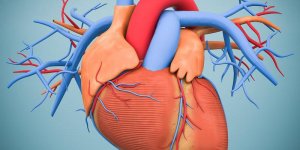 Arythmie cardiaque: la cause principale