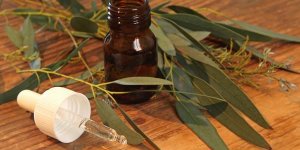 Rhume des foins : le soigner avec les huiles essentielles
