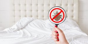 Punaise de lit : 5 solutions pour eviter les piqures