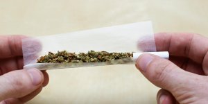 Cannabis : la consommation reguliere augmente les risques d-infarctus 