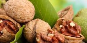 Manger des noix pourrait reduire le risque de diabete de type 2