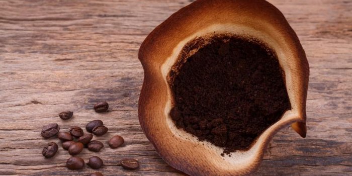 9 bonnes raisons de ne plus jeter votre marc de cafe !
