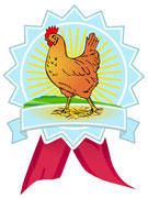 Comment reconna&icirc;tre un poulet de bonne qualit&eacute;?