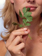 Herbes aromatiques: l&rsquo;arme anti surpoids