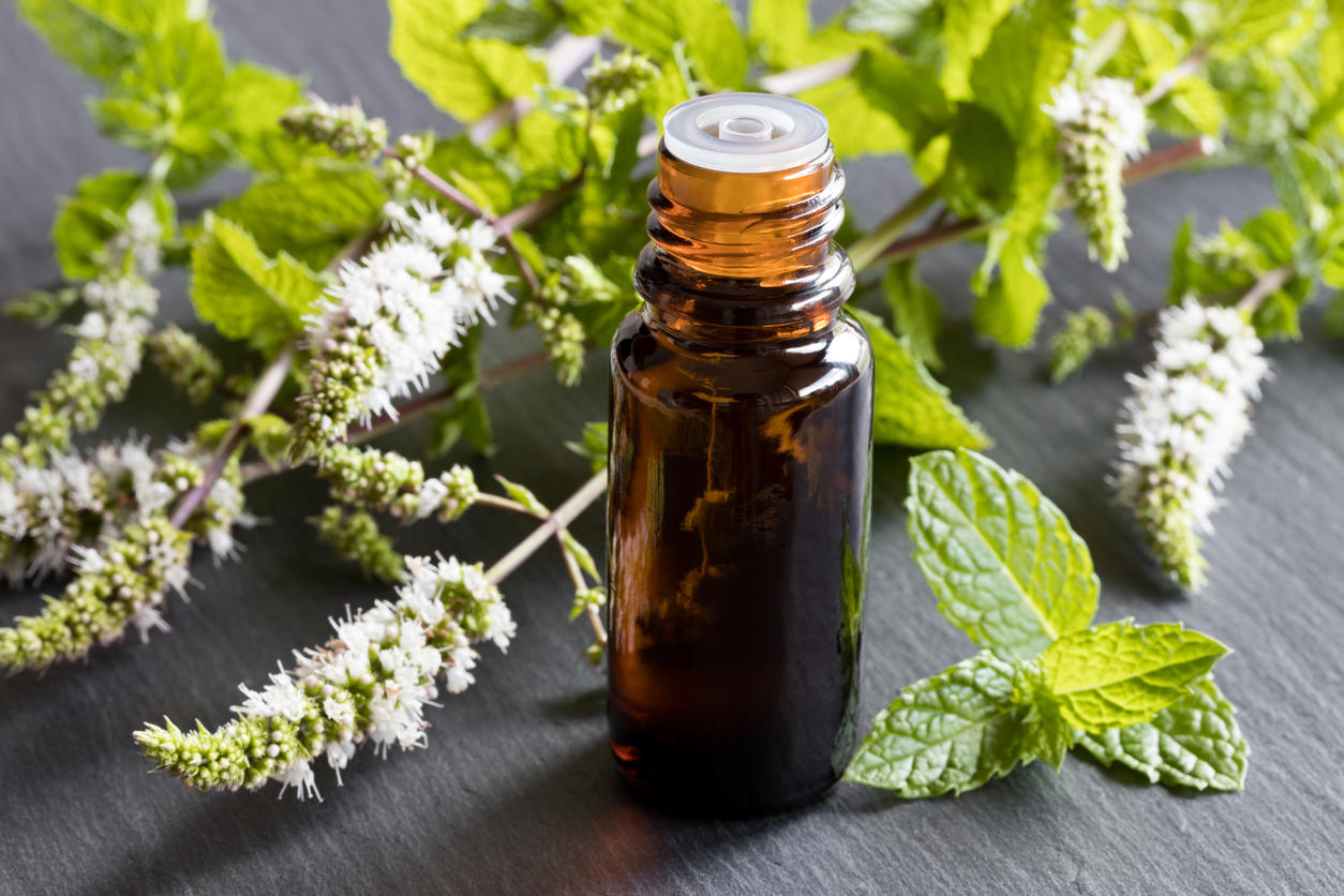 Aromaterapia: cómo usar el aceite esencial de milenrama ...