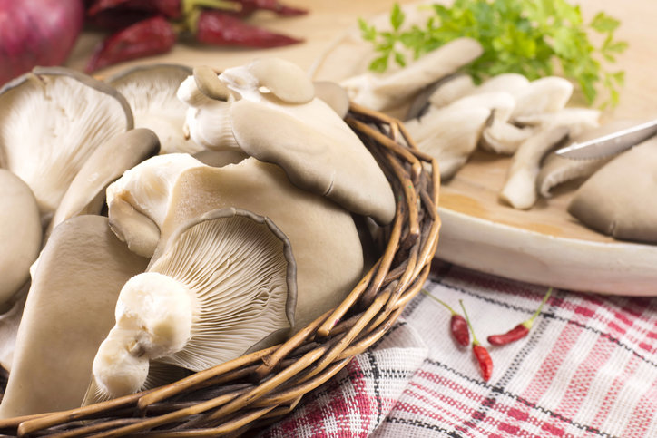 une consommation quotidienne de champignons diminue le risque de 45 %