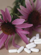 L’echinacea purpurea contre la grippe