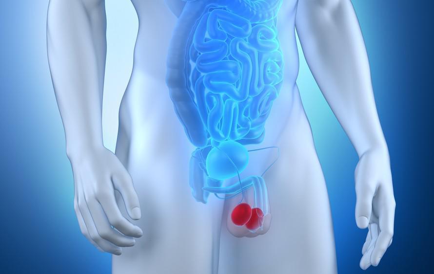 Douleur aux testicules : 5 causes possibles