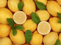 Citron (rhume)