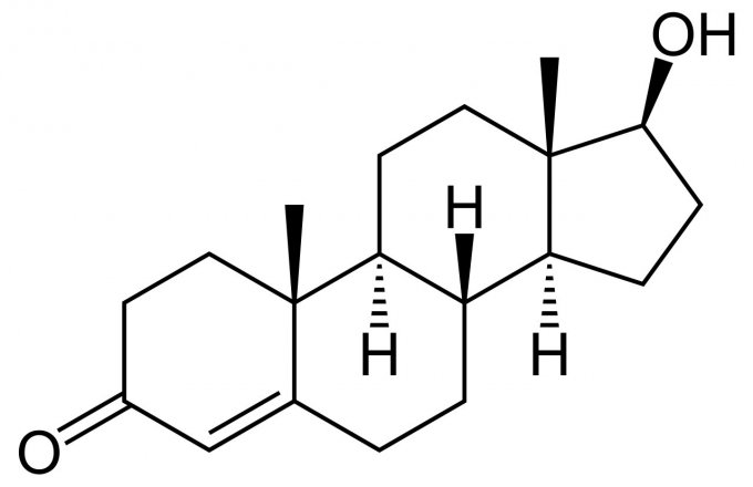 Structure chimique de la testostérone