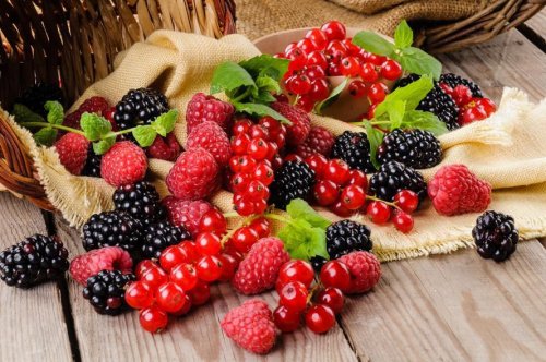 Les fruits rouges riches en antioxydants