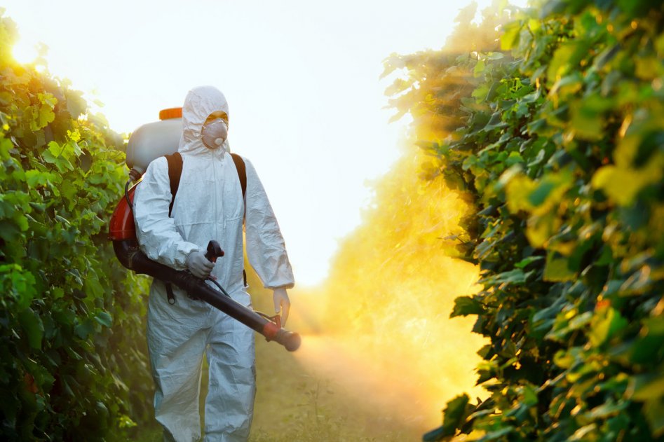 Pesticides dans le vin : des teneurs maximales critiquées