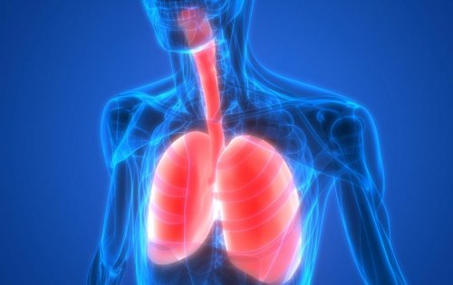 Cancer du poumon : souvent découvert lors d&apos;une infection bronchique