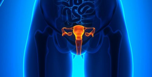 Cancer du col de l’utérus : un frottis tous les 3 ans jusqu&apos;à 65 ans