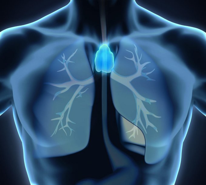 Qu'est-ce qu'un cancer du Thymus ?